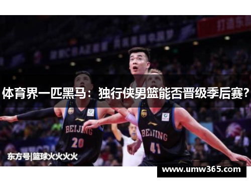 体育界一匹黑马：独行侠男篮能否晋级季后赛？